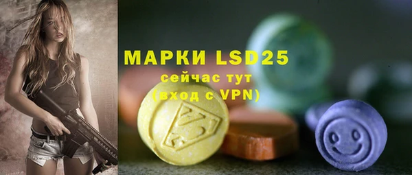 ПСИЛОЦИБИНОВЫЕ ГРИБЫ Алексин