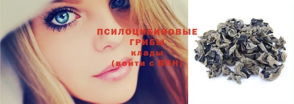 ПСИЛОЦИБИНОВЫЕ ГРИБЫ Алексин