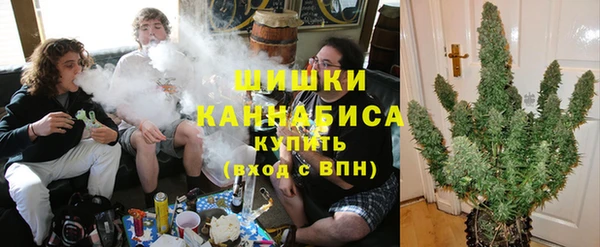стафф Протвино