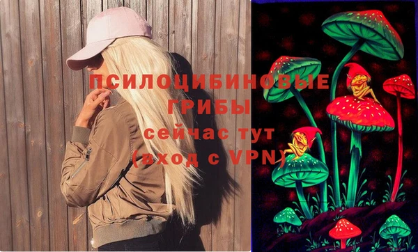 героин Алзамай