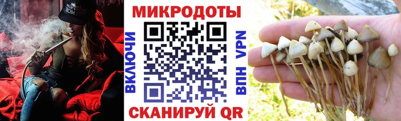 Галлюциногенные грибы Psilocybine cubensis  Островной 